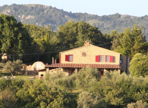 Case Bosco Roccalbegna